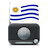 icon 4.0.36