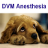 icon DVM Anesthesiology(Anestesiologia DVM) 2.30