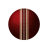icon live cricket score(DreamTeam11 App App originale App
) 1.1