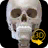 icon Skelett(Scheletro | Anatomia 3D) 2.4.1