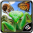 icon InsectRace(Insect Race) 7.0