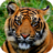 icon Tiger Wallpapers(Sfondi di tigre) 1.0