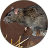 icon Mouse and Rat(Topo e ratto: suoni, suonerie) 1.8