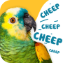 icon Animal Sound(Suoni animali gratuiti: versi e immagini di animali reali
)