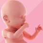 icon Pregnancy(Monitoraggio della gravidanza e giorno per giorno)