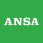 icon ANSA()