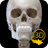 icon Skelett(Scheletro | Anatomia 3D) 2.4.3