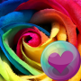 icon Roses HD Wallpapers(Sfondi HD di bellissime rose)