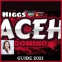 icon higgs domino aceh guide (higgs domino aceh guida
)