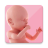 icon Pregnancy(Monitoraggio della gravidanza e giorno per giorno) 1.2.7