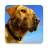 icon Dog Sounds(Suonerie Dog Sounds) 5.0.1-40082