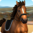 icon ShowJumping(Horse World: Show Jumping) 3.5.3062