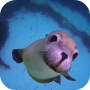 icon Sea Life HD Video Wallpapers Gallery(Sea Life Sfondi video HD Galleria)