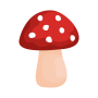 icon Shroomify Mushroom ID(Shroomify - Mushroom Identific)