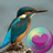 icon Kleurvolle Hummingbirds(Sfondi HD di Colibrì) 2.1.14