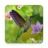 icon Hummingbirds live wallpaper(Carta da parati colibrì) 1.0.9