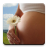 icon ru.fedr.pregnancy(Calendario della gravidanza) 2.4.1