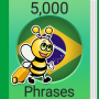 icon com.funeasylearn.phrasebook.brazilian(Impara portoghese brasiliano
)