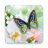icon Butterflies Live Wallpaper(Farfalle Live Wallpaper) 1.1.1