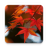 icon Autumn Leaf Fall Wallpaper(Sfondo autunnale) 1.0.7
