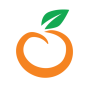 icon OrangeHRM Advanced (OrangeHRM Avanzato)