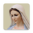 icon com.jasp.rosarioVirgenMaria(Rosario Vergine Maria) 7.6