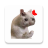 icon Stickers Cats Memes(Cat Memes Adesivi WASticker) 2.2.0