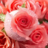 icon Rose Jigsaw Puzzles(Roses Jigsaw Puzzles) 2.13.00