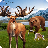 icon Jungle Hunting _ Shooting V2(Firing Free Fire Squad Survival Battlegrounds) 2.2