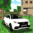icon Driver Steve: XRAY Simulator(Steve Lada X-Ray Car Simulator) 1.0