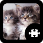 icon Cats & Kittens Puzzle(Cats Kitten Puzzle)