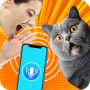 icon Cat Translator(Traduttore da uomo a gatto)