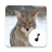 icon Coyote Sounds(Suoni Coyote) 4.1.6