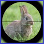 icon Rabbit Hunter(Cacciatore di conigli)