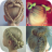 icon Cute girl hairstyles 2017(Acconciature ragazza carina) 20.0.0