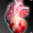 icon Circulatory System in 3D Anatomy(Circulatory System 3D Anatomy Dental) 1.9.5