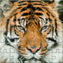 icon Puzzle Zoo (Zoo di puzzle)