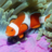 icon Underwater Jigsaw Puzzles(Jigsaw Puzzles sottacqua) 2.11.02