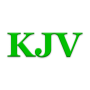 icon Bible KJV (Bibbia KJV)