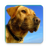 icon Dog Sounds(Suonerie Dog Sounds) 5.0.1-40071