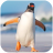 icon Talking Penguin(Talking Penguin
) 1.1.0
