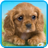 icon Talking Puppy(Cucciolo parlante) 1.720.1.633