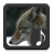 icon Coyote Sounds(Suoni Coyote) 3.1.0
