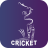 icon Cricket Mania(Cricket Work Mania - LiveScore
) 4.0