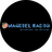 icon Magdiel Radio 2.12.01