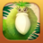 icon Kakapo Run(Kakapo Run: Animal Rescue Game) 1.0.8