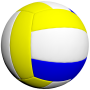 icon Volleyball 3D (Pallavolo 3D)