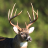 icon Whitetail Deer Calls(Chiamate dei cervi di Whitetail) 5.0.1