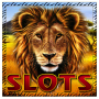 icon Safari slot(Safari - slot)