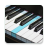 icon Real Piano() 5.33.9